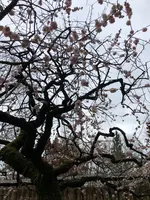 好古園の写真・動画_image_886961
