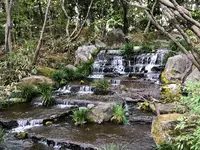 好古園の写真・動画_image_886962