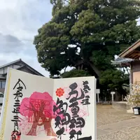 九重神社の写真・動画_image_888354