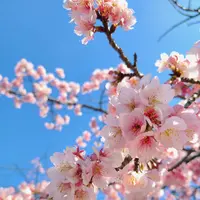 密蔵院の写真・動画_image_888837