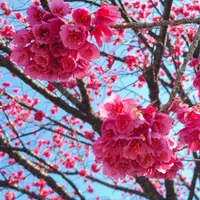 密蔵院の写真・動画_image_888840