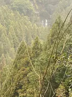 にこ淵の写真・動画_image_889862