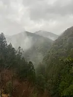 にこ淵の写真・動画_image_889863