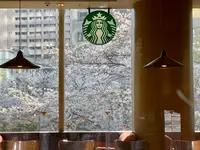 スターバックスコーヒー 愛宕グリーンヒルズ店（STARBUCKS COFFEE）の写真・動画_image_897099