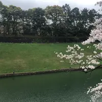 千鳥ヶ淵緑道の写真・動画_image_898058