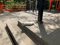 愛宕神社の写真・動画_image_898862