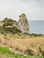 猿岩の写真・動画_image_899832