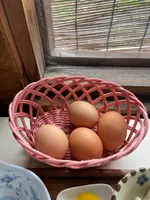 弁天の里の写真・動画_image_900898