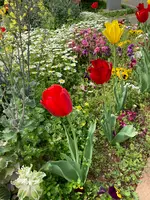 蒔田公園の写真・動画_image_901209