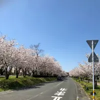 大貞公園の写真・動画_image_901220