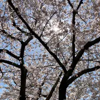 大貞公園の写真・動画_image_901221