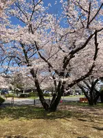 大貞公園の写真・動画_image_901222
