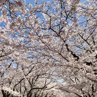 大貞公園の写真・動画_image_901223