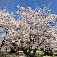 大貞公園の写真・動画_image_901225