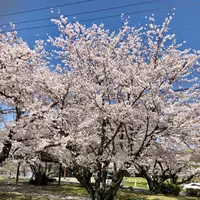 大貞公園の写真・動画_image_901226