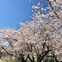 大貞公園の写真・動画_image_901228