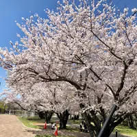 大貞公園の写真・動画_image_901229