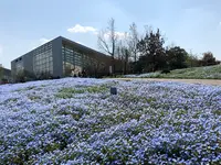 大分農業文化公園の写真・動画_image_901231
