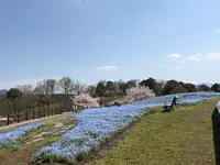 大分農業文化公園の写真・動画_image_901232