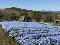 大分農業文化公園の写真・動画_image_901233