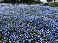 大分農業文化公園の写真・動画_image_901236
