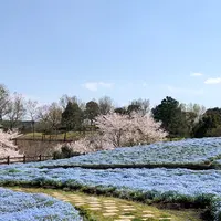 大分農業文化公園の写真・動画_image_901237