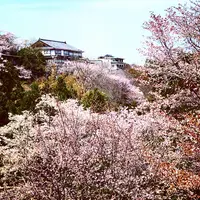 吉野山の写真・動画_image_901633