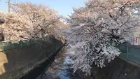 戸塚東２丁目２９−１２の写真・動画_image_902372