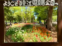 猿江恩賜公園の写真・動画_image_904608