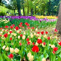 猿江恩賜公園の写真・動画_image_904611