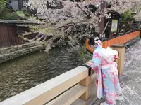 祇園白川の写真・動画_image_905305