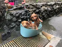 平六地蔵露天風呂の写真・動画_image_908376