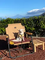 雲見オートキャンプ場の写真・動画_image_908976