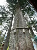 三峰神社 奥宮遥拝殿（見晴台）の写真・動画_image_914502