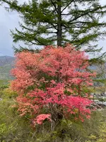 三峰神社 奥宮遥拝殿（見晴台）の写真・動画_image_914507