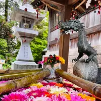 山﨑八幡宮の写真・動画_image_915050