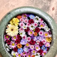 山﨑八幡宮の写真・動画_image_915051