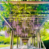 永源山公園の写真・動画_image_915055