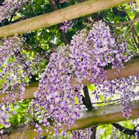 永源山公園の写真・動画_image_915056