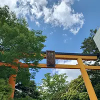 川越氷川神社の写真・動画_image_915952