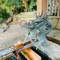 川越氷川神社の写真・動画_image_915953