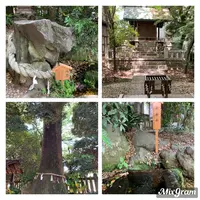 川越氷川神社の写真・動画_image_915958