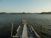 小天橋の写真・動画_image_916203