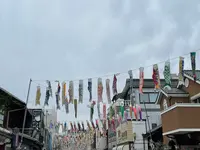 川越　大正ロマン通りの写真・動画_image_916270