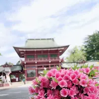 笠間稲荷神社の写真・動画_image_919175