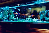 新宿ライムの写真・動画_image_921782