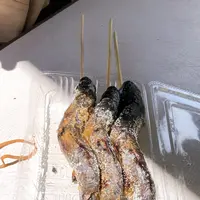 フィッシングエリア やま里の写真・動画_image_927017