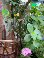 フルーフ・デゥ・セゾンの写真・動画_image_927137