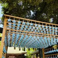 川越氷川神社の写真・動画_image_928290