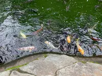 愛宕神社の写真・動画_image_928615
